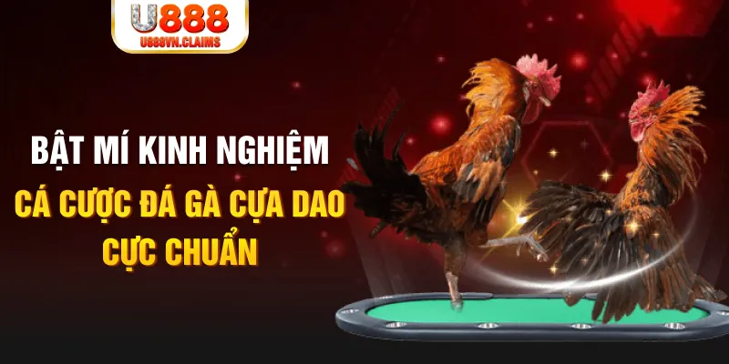 gk88 com trong baccarat, ai là người chia bài chính？