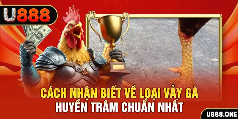 gk88 com Chú hề Patty tuổi teen