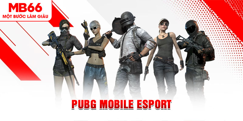 gk88 com gà chọi c1 mới nhất