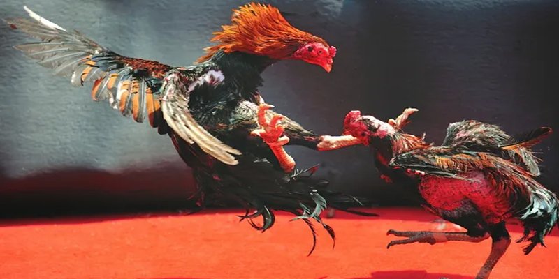 gk88 com đăng nhập nổ hũ số 1