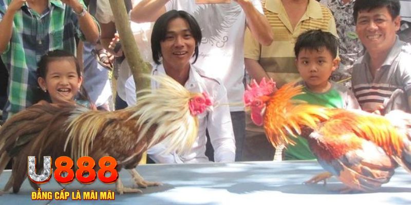 gk88 com mơ thấy nổ hũ đánh con gì