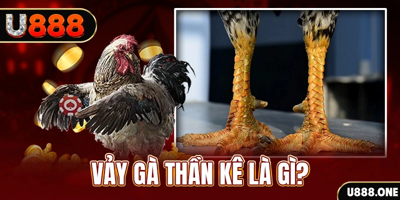 gk88 com xổ số miền bắc thứ tư hàng tuần