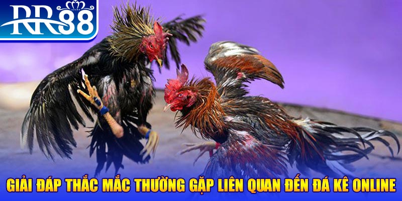 gk88 com đăng nhập phỏm tặng tiền