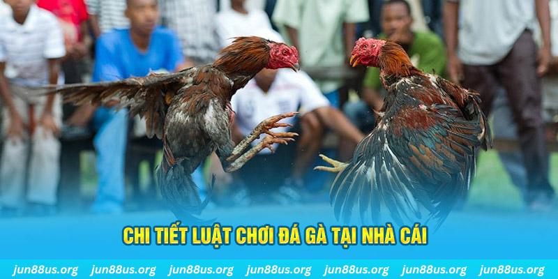 gk88 com đá gà campuchia