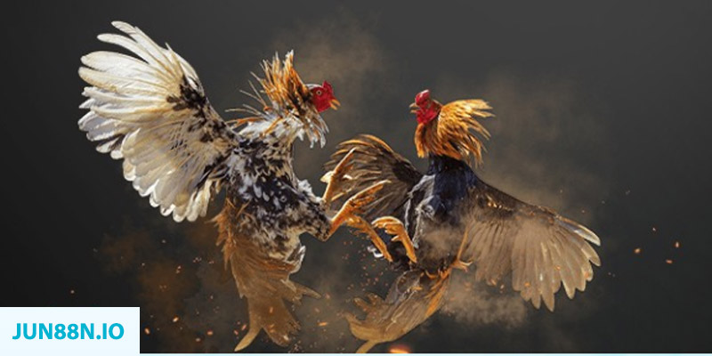 gk88 com đăng nhập sòng bạc miễn phí