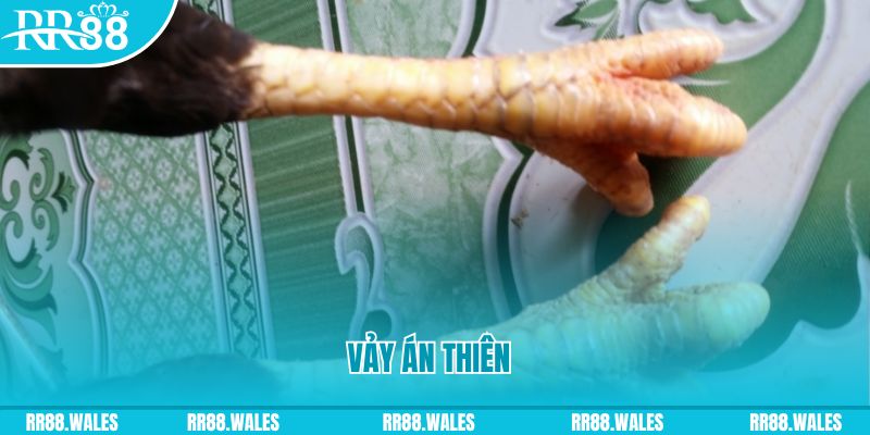 gk88 com who wants to be a millionaire slot