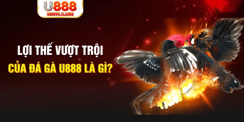 gk88 com 888 slot là gì